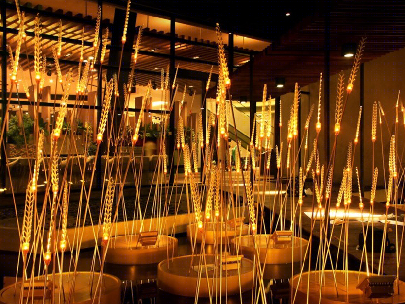 泰国皇家稻田照明景观-6