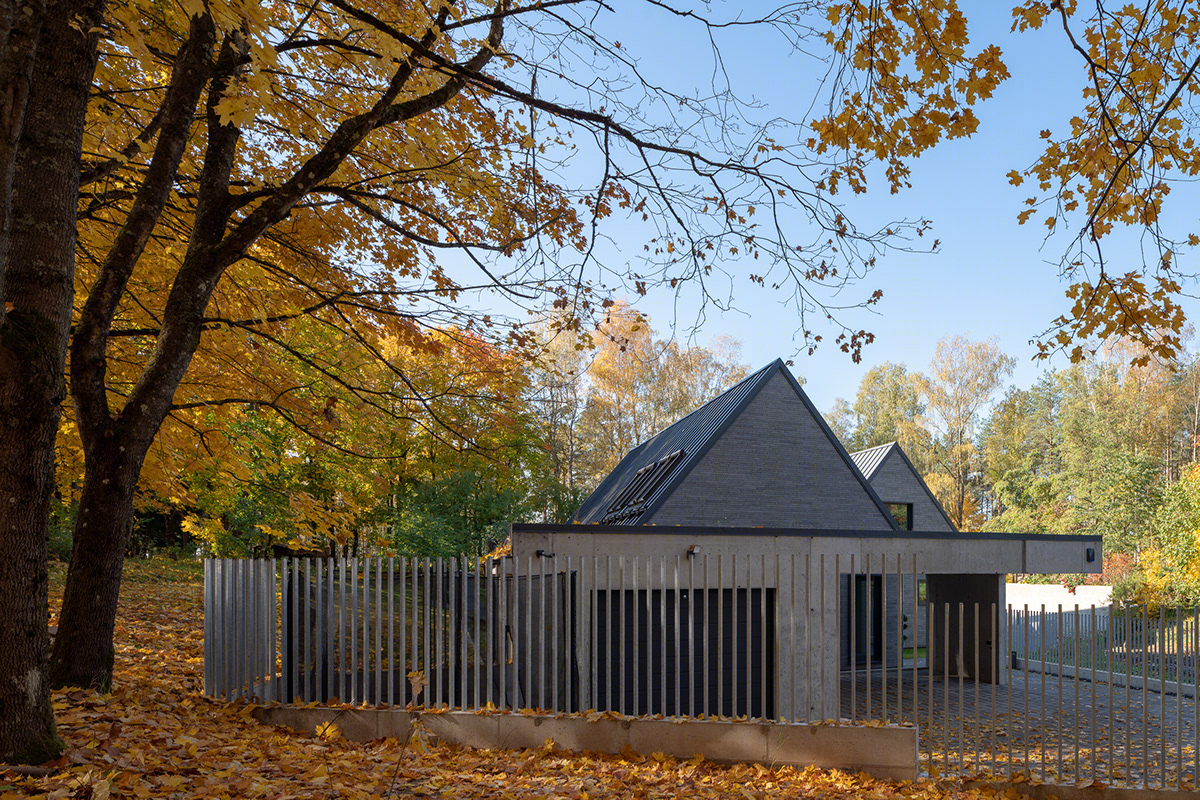 Maple Tree House near Vilnius-0