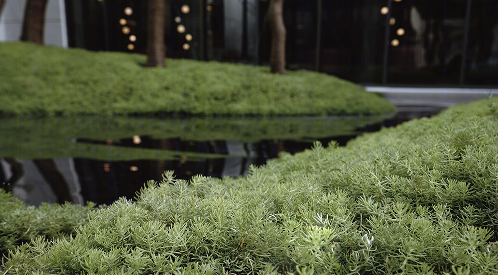 苏州旭辉和风花园示范区景观-12