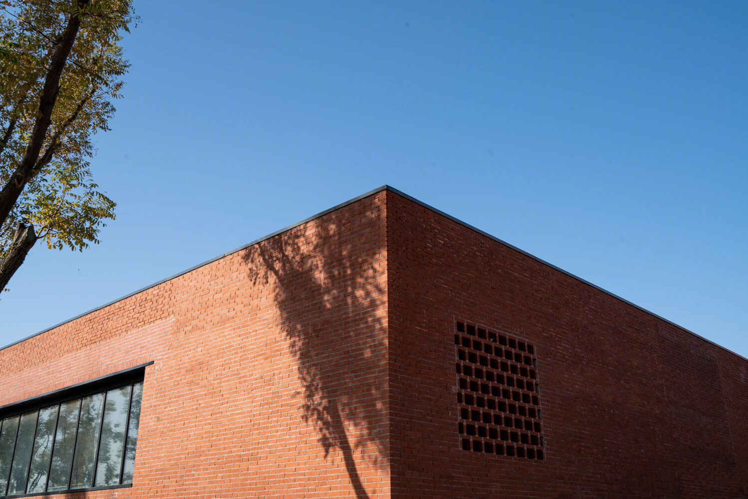 河北衡水分散式植物研究中心的公共空间设计-12