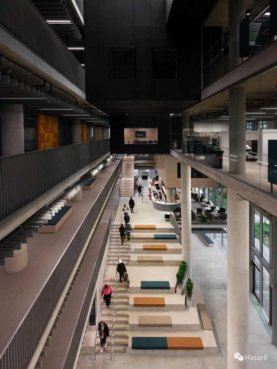 布莱顿大学商学院丨英国丨Hassell-3