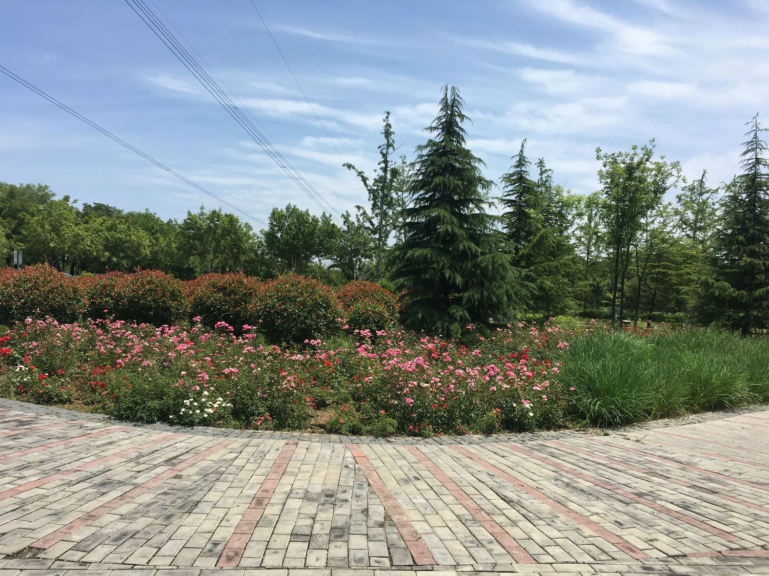 沣河滨河公园-16