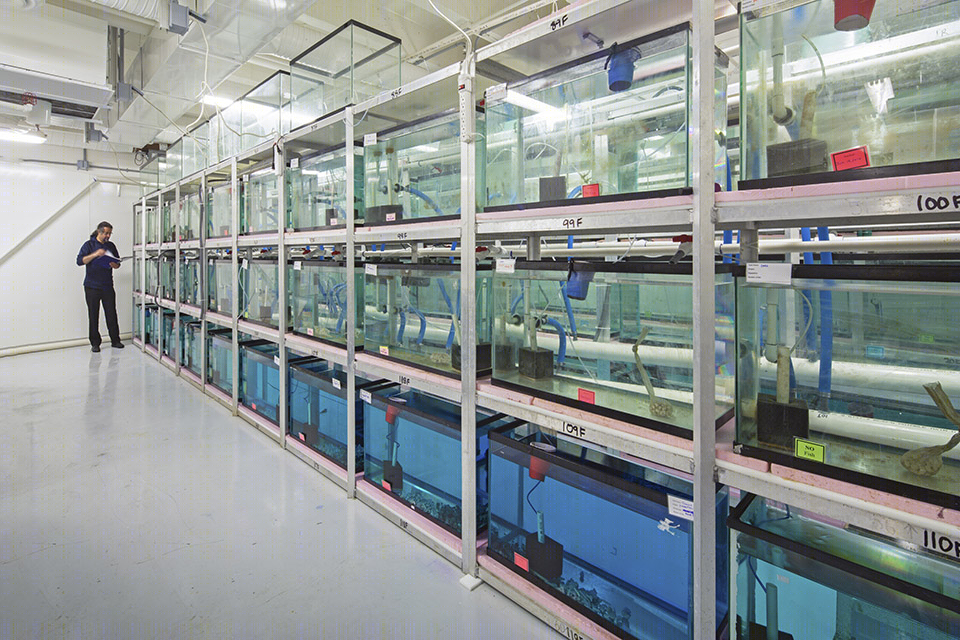 哥伦比亚大学生物科学综合楼 | 绿色更新与高效设计-23