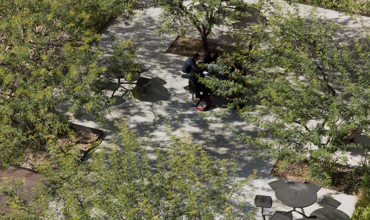 美国 Arizona 大学停车场变绿洲,设计师打造沙漠中的生态景观-25