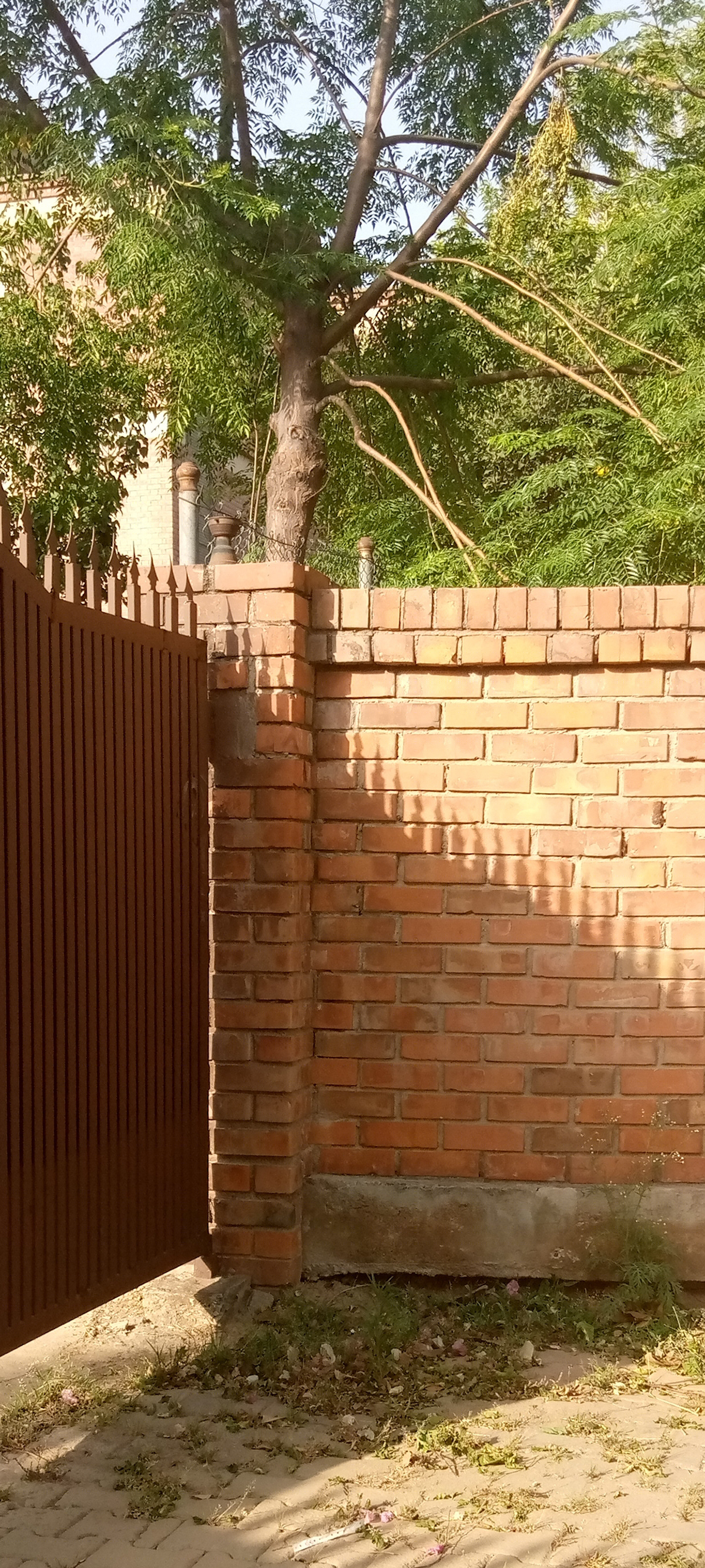 SHADOW OF ARCHITECTURAL ELEMENT-1