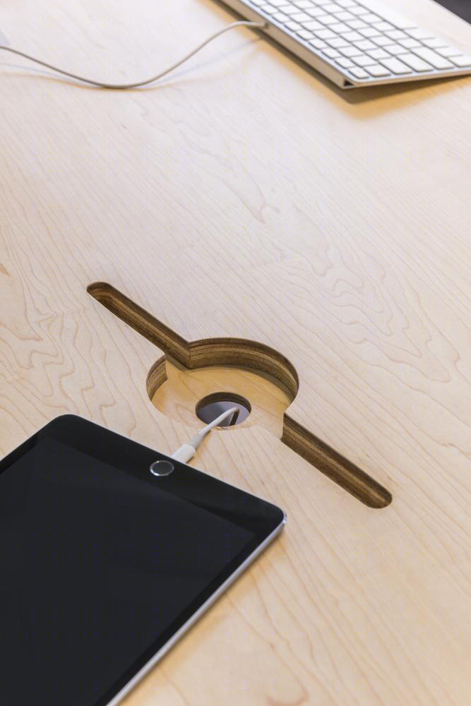 新加坡小红蚂蚁工作室-21