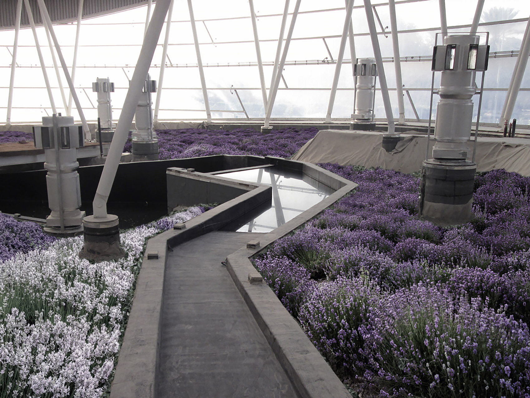 三气候生物圈丨阿联酋阿布扎比丨Leeser Architecture-20