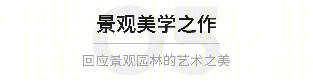 大参林医药集团荔湾运营中心丨中国广州丨GWP团队-36