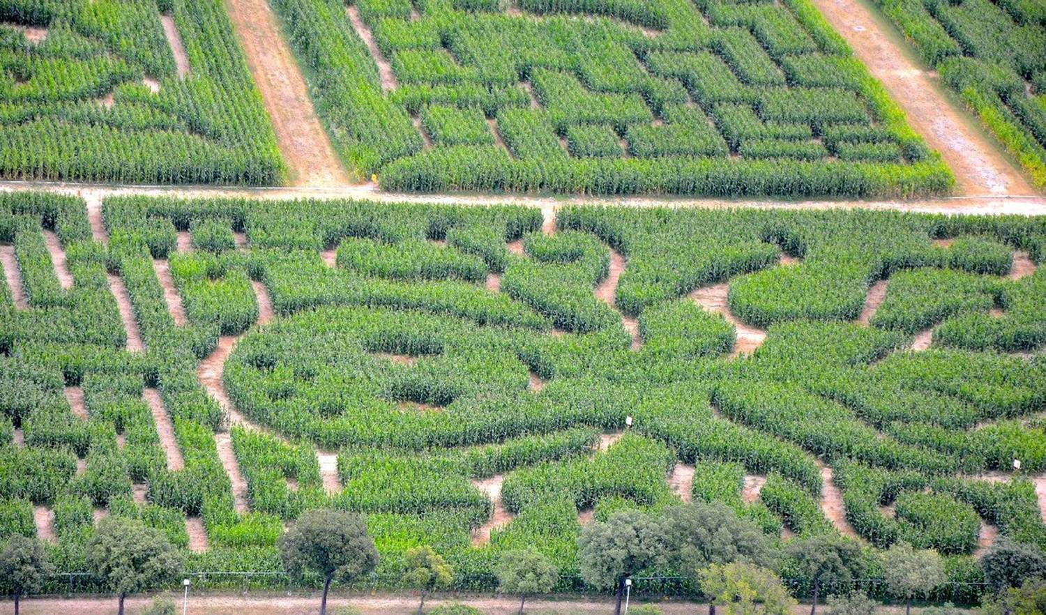 意大利威尼斯玉米田迷宫 (Italy Venice Cornfield Maze)-13