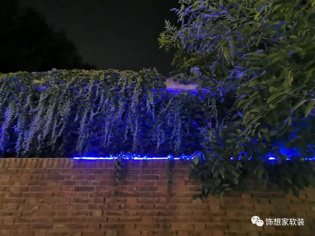 繁花里的角落,寻找心中的宁静-33