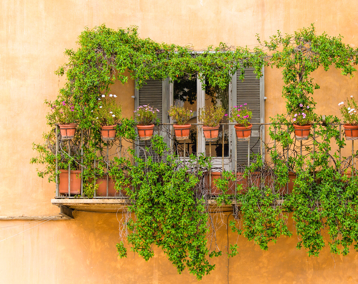 windows and doors-5