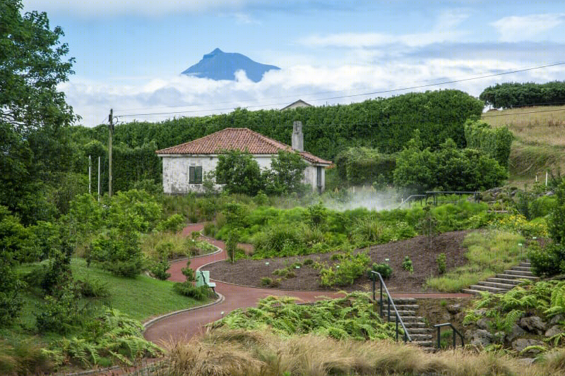 葡萄牙FAIAL植物园-7