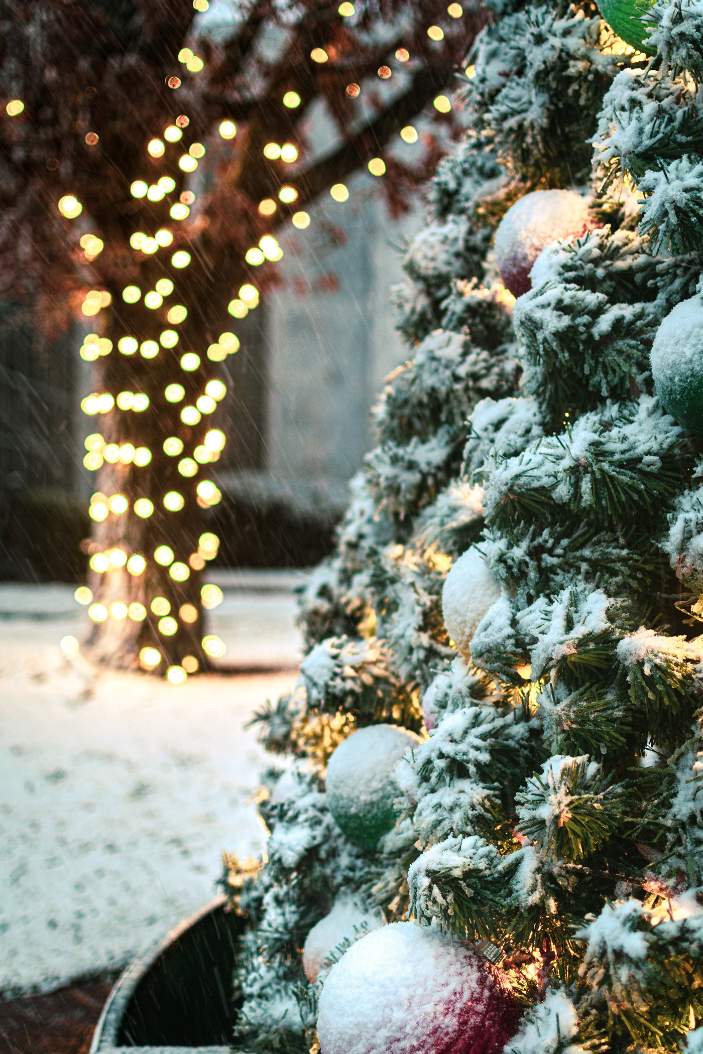 Jasper Georgia 圣诞风情小镇-9