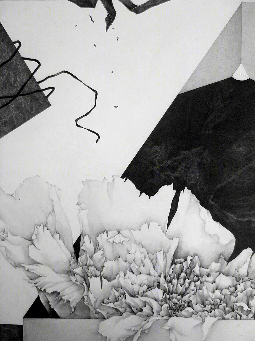 隐秘与显现 · 2016·2019 年石墨素描作品精选-25