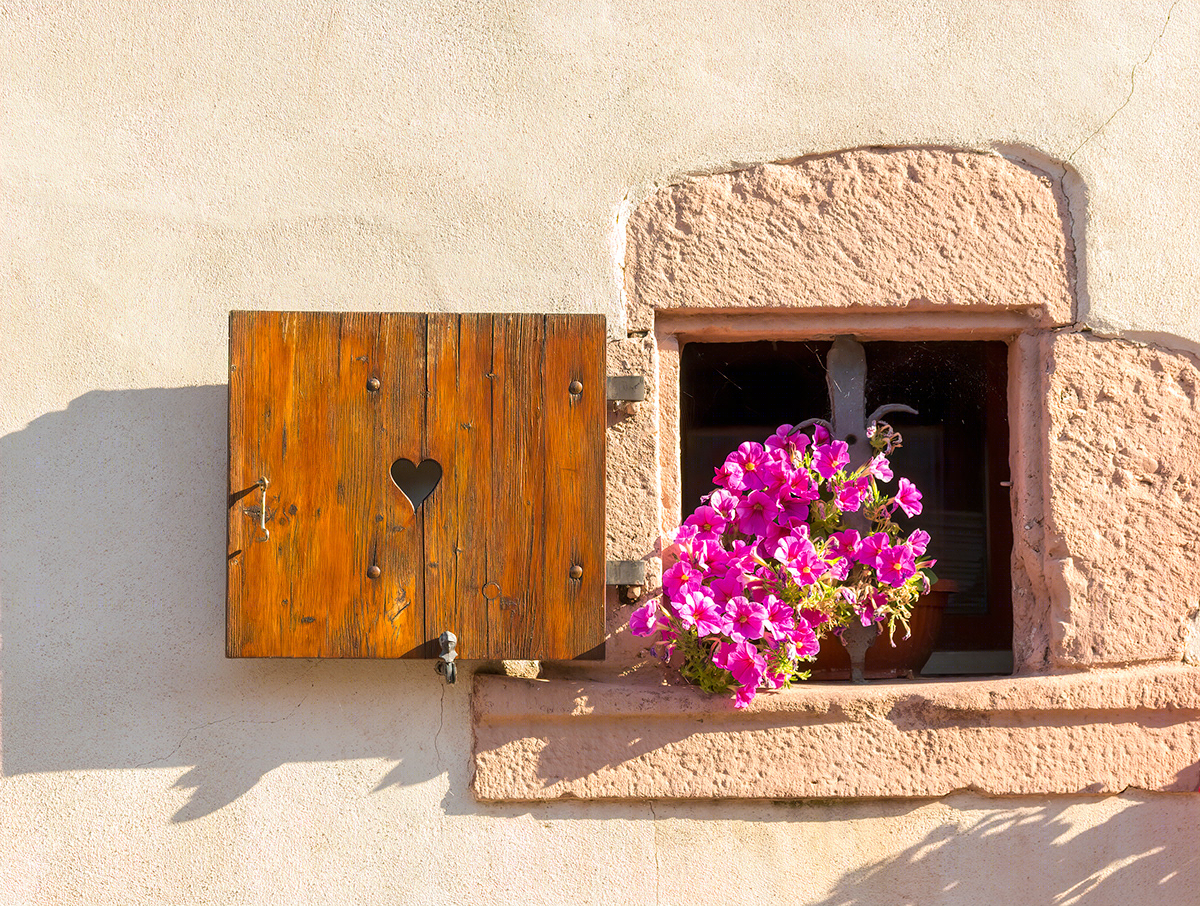windows and doors-6