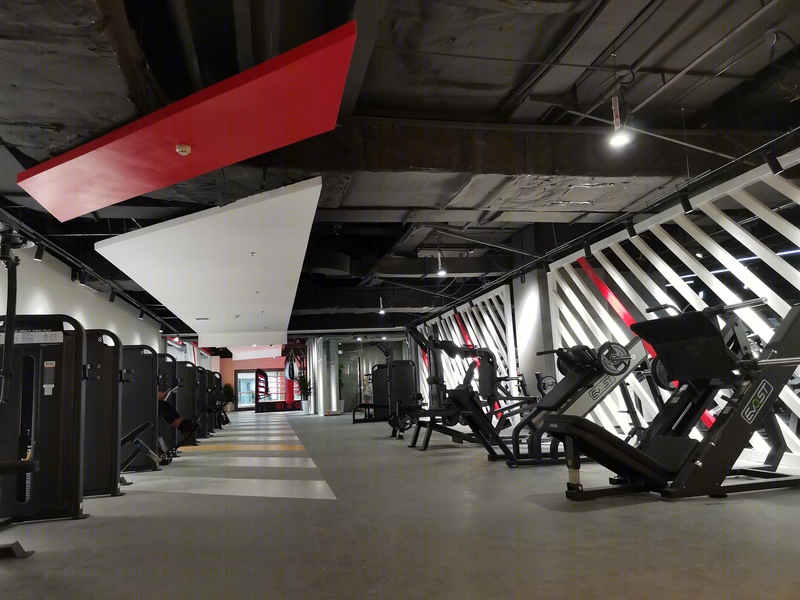 邱鹏飞丨健身房丨沈阳 铂莱德健身 BROTHER FITNESS-6