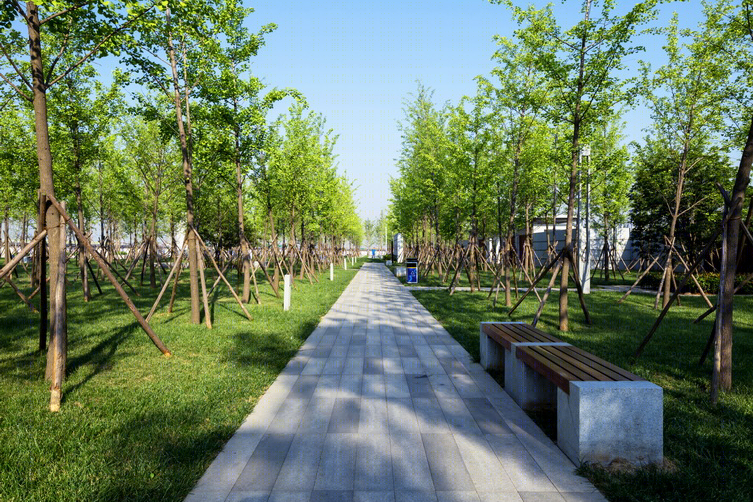 西安航天城文化生态园——现代景观设计与古文化的完美融合-16