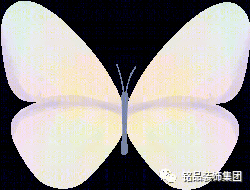 选窗帘三步曲,让家更温馨-15