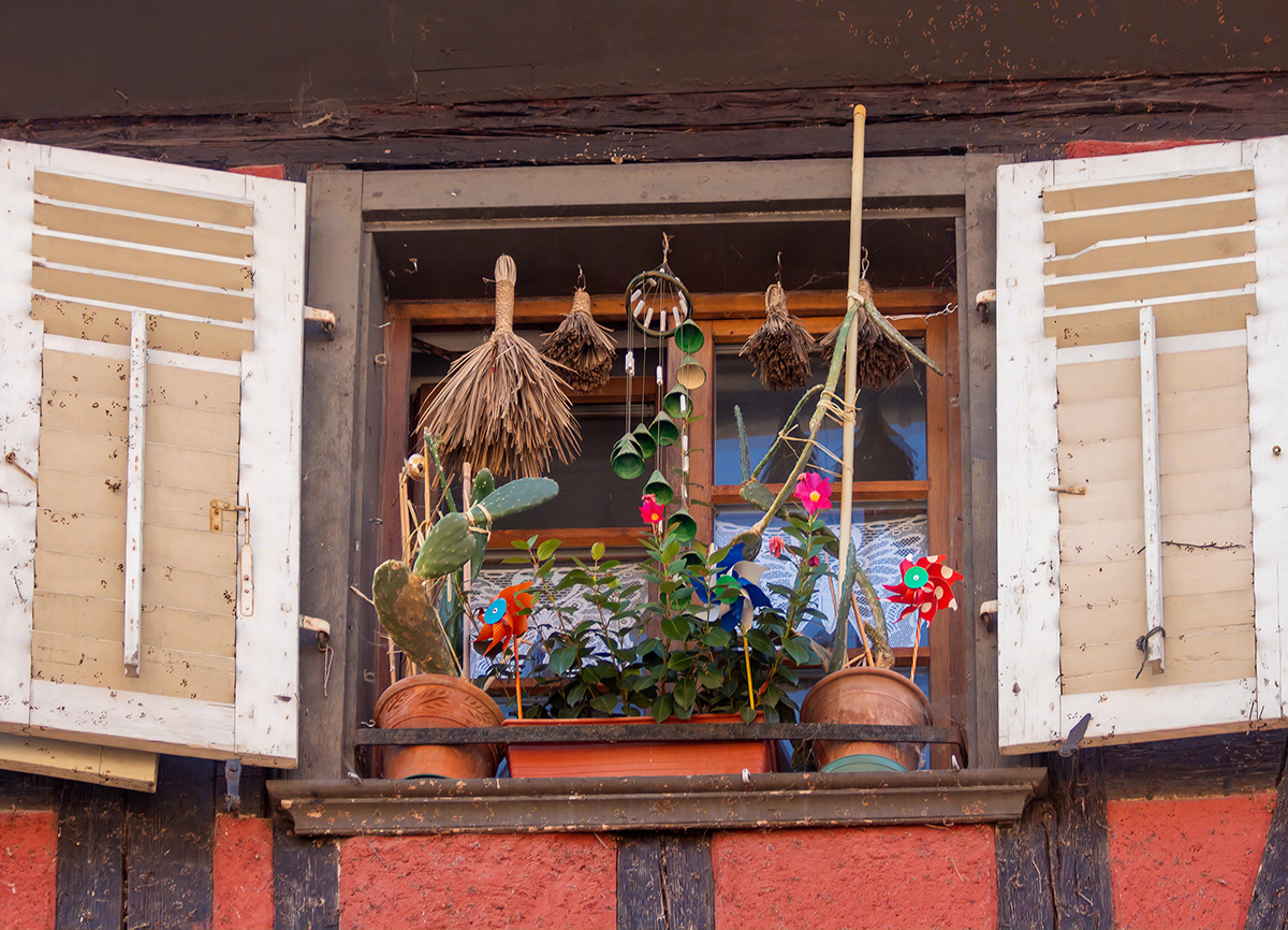 windows and doors-7