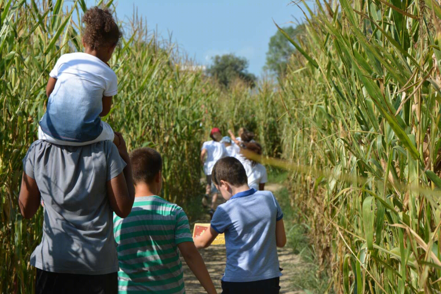 意大利威尼斯玉米田迷宫 (Italy Venice Cornfield Maze)-16