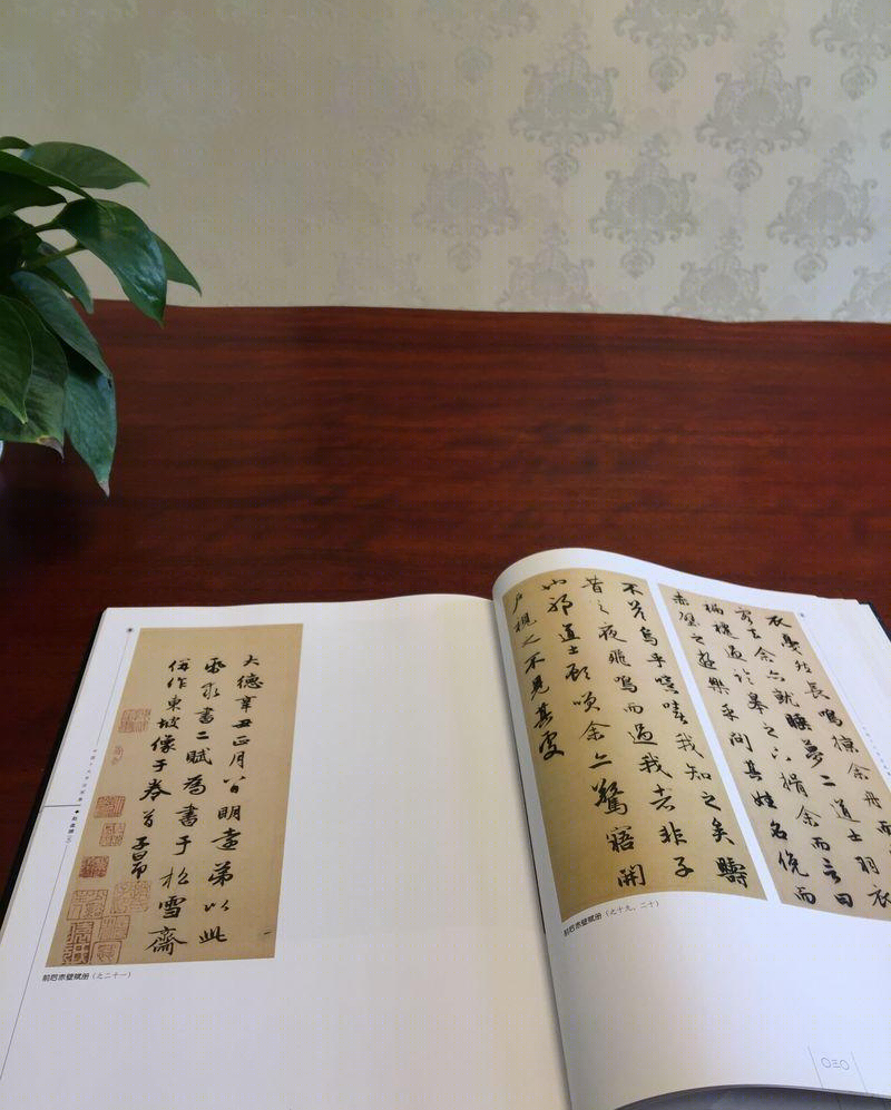 圆弧之美 | 打破传统方正空间的创意设计-6