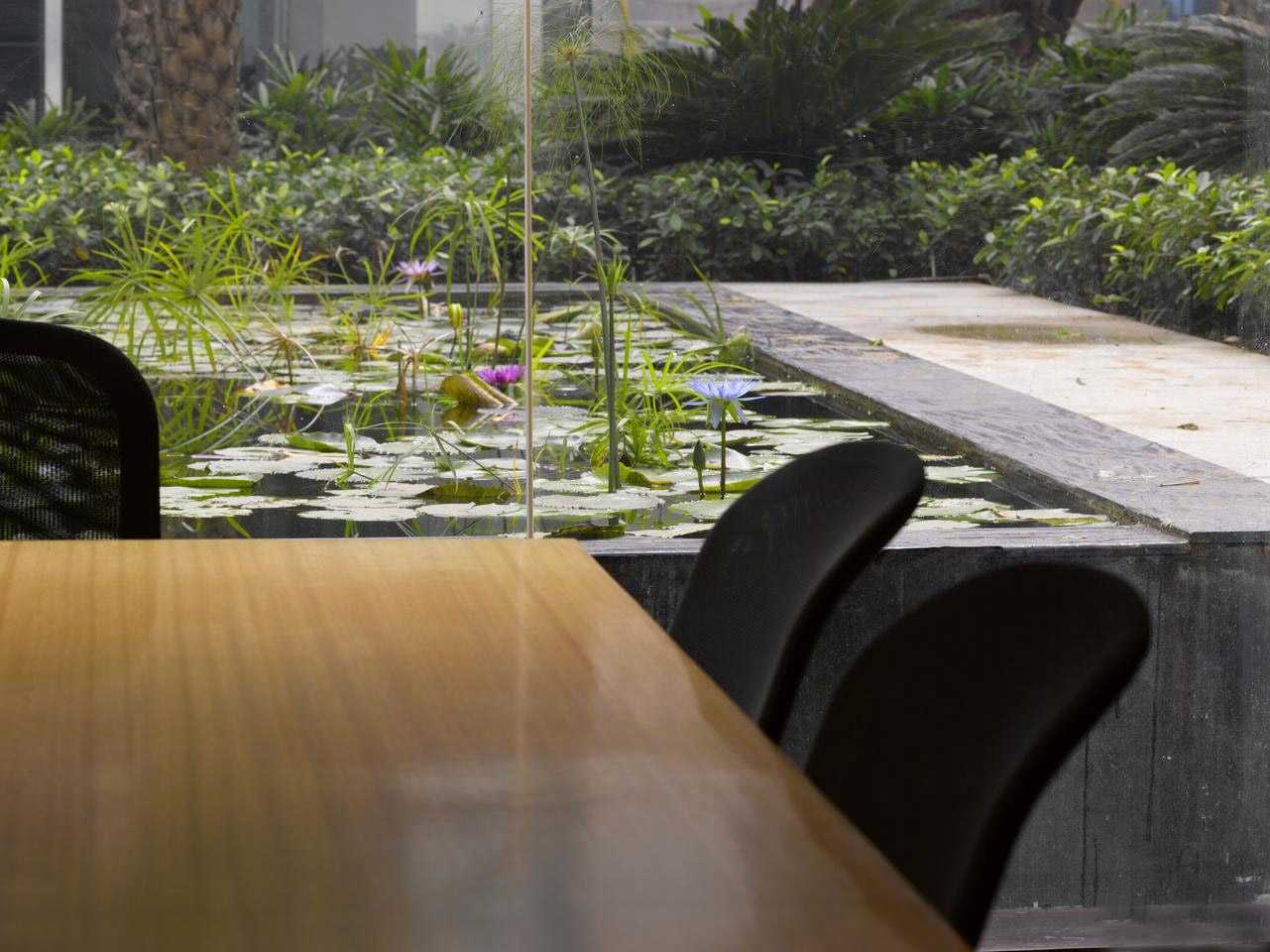 印度 Glycols 公司总部大楼丨Morphogenesis 建筑事务所-30