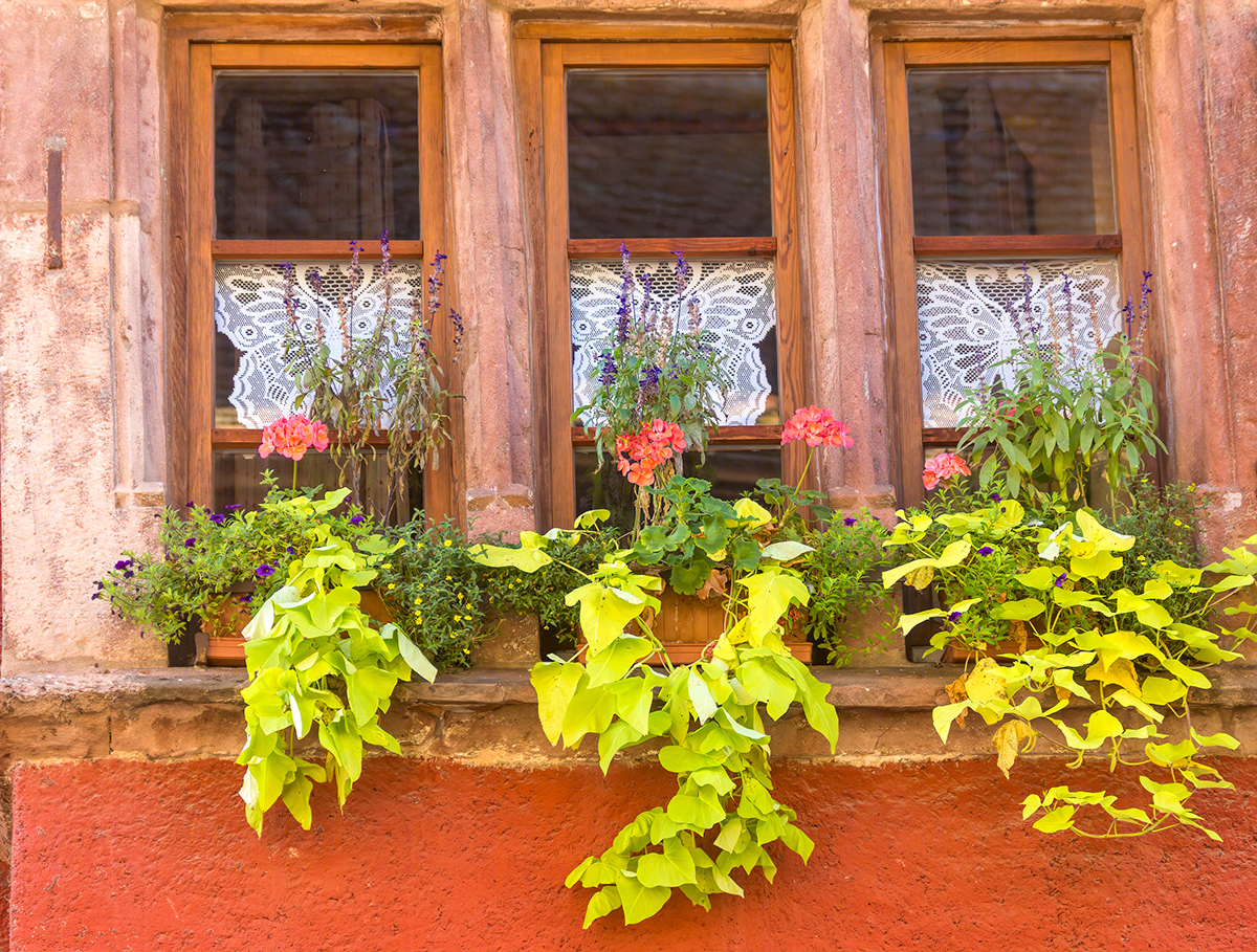 windows and doors-8