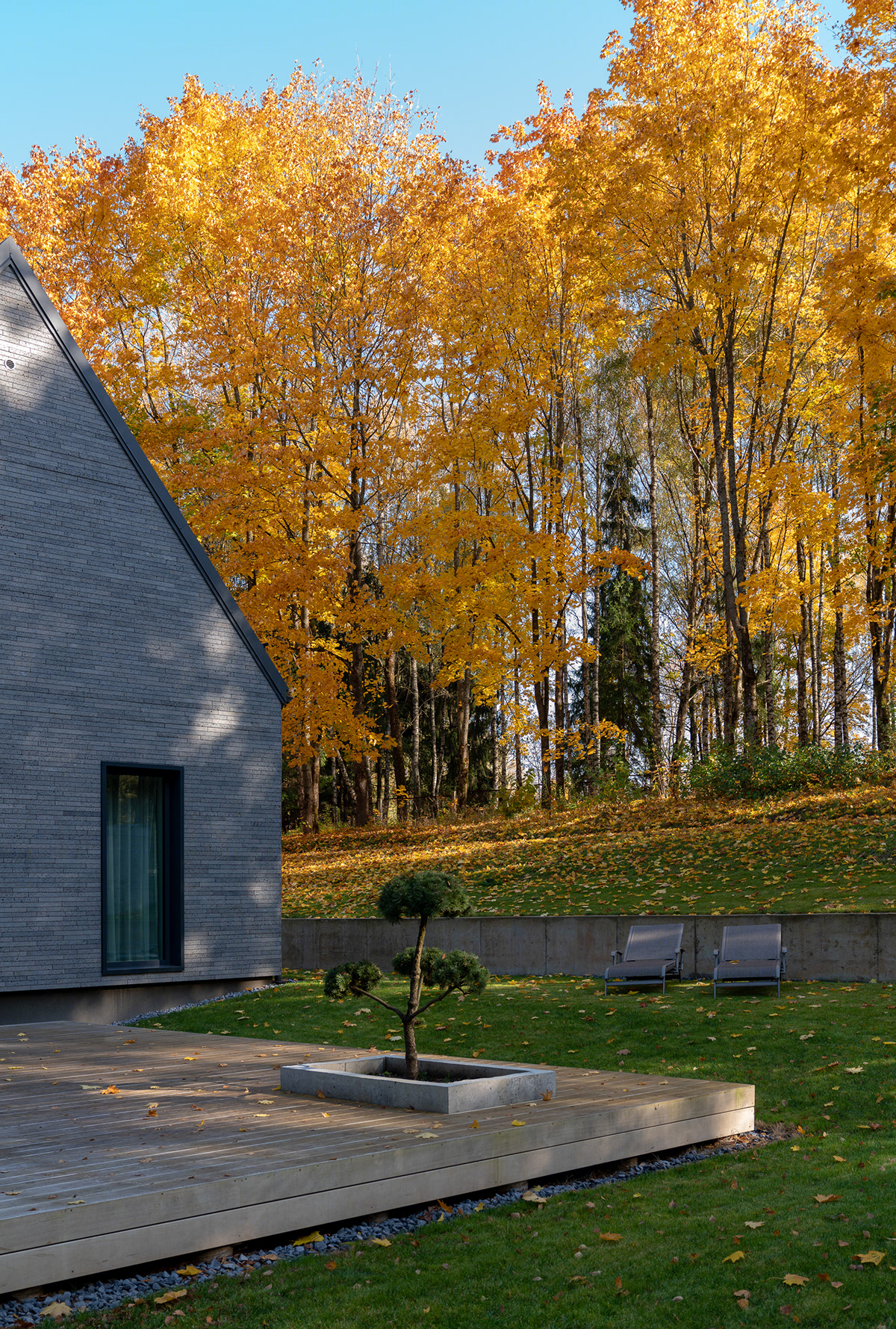 Maple Tree House near Vilnius-3