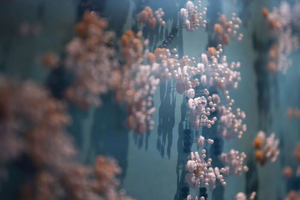廊桥港湾·粤菜海鲜餐厅丨中国深圳丨EMA轶美设计-36