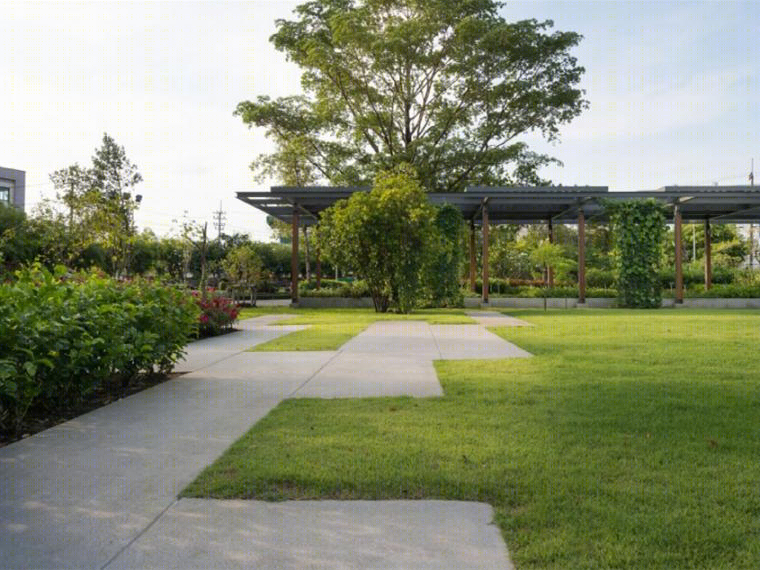 泰国药用植物园景观丨Landscape Architects of Bangkok（LAB）-6