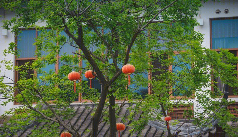 盘门景区别墅会所-13