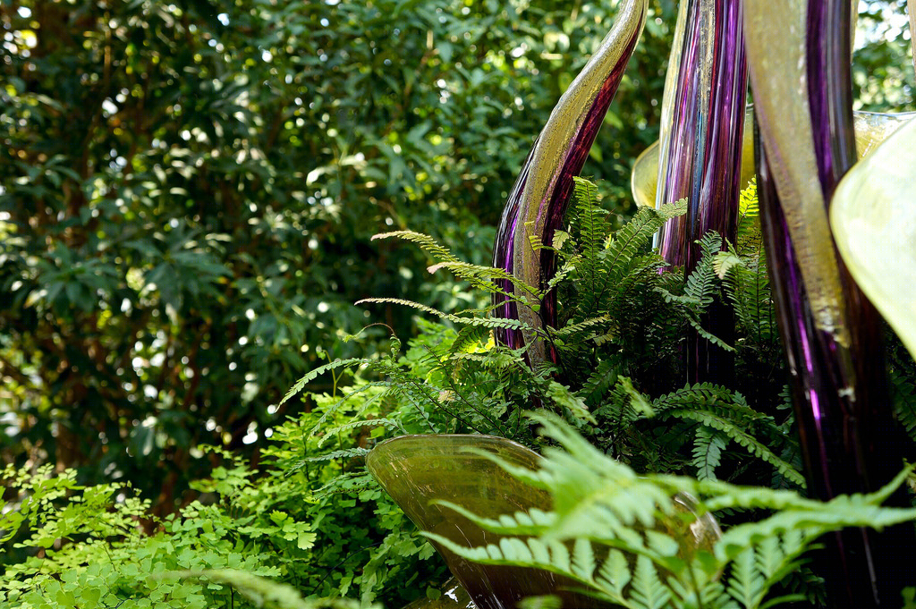 美国匹兹堡植物园（America Pittsburgh Botanical Garden）-13