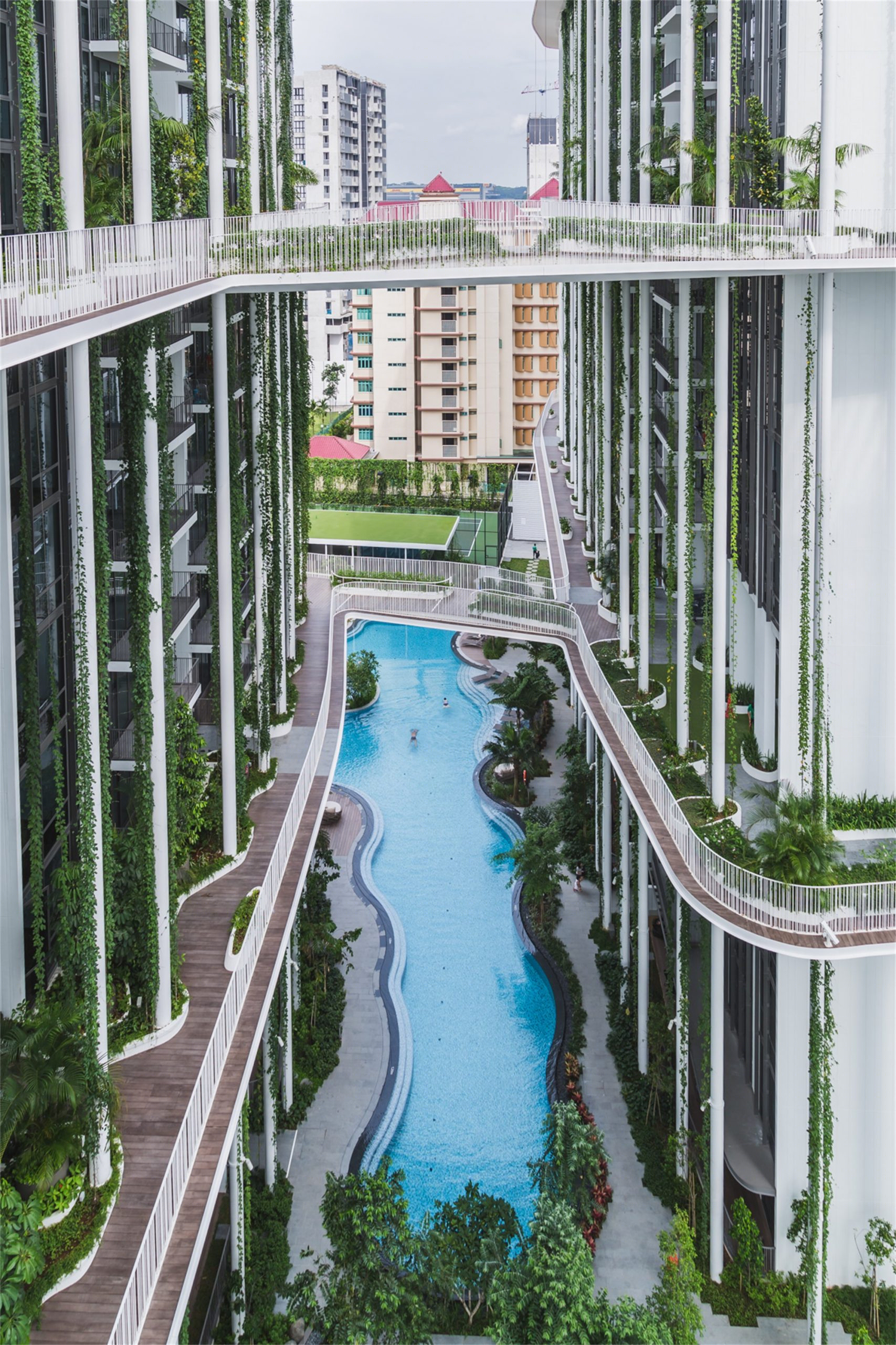 新加坡,香灰莉雨林住宅-3