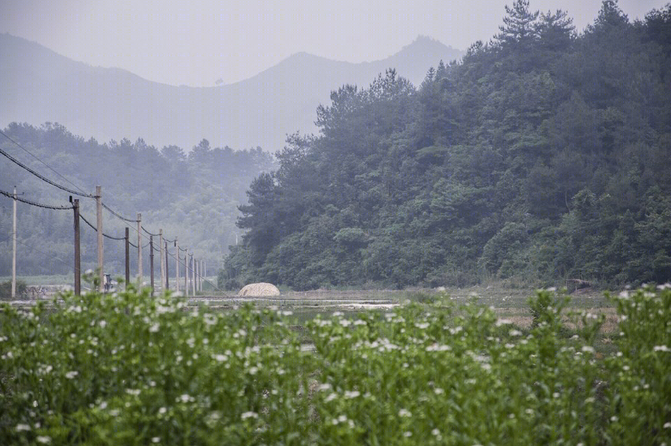 浙江双庙村“茧寮”-9