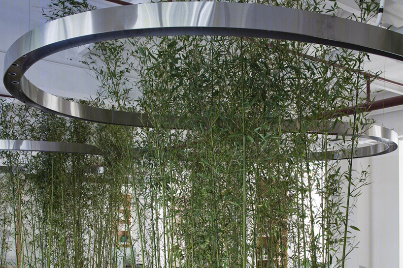 中国上海办公室丨JW architecture-24