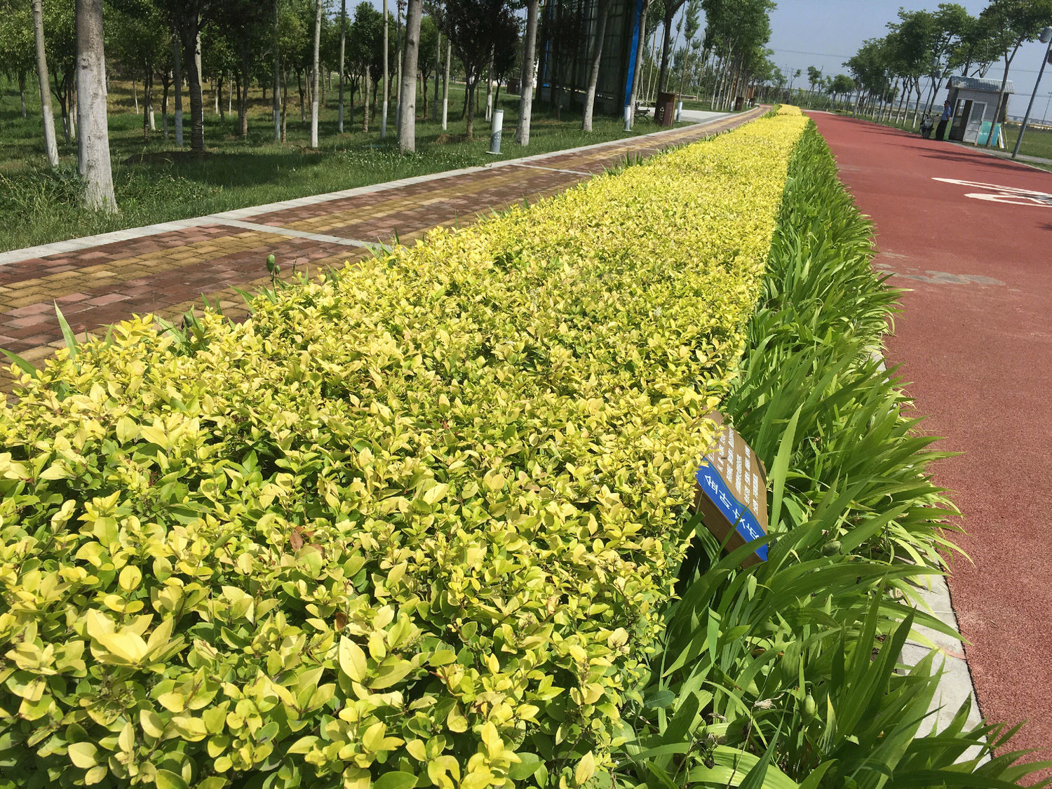 沣河滨河公园-26