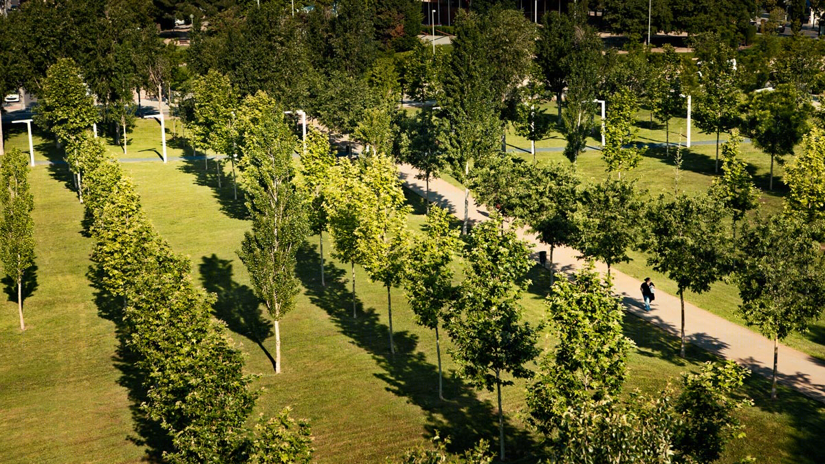 西班牙圣库加特 RAMBLA DEL CELLER 公园丨ENRIC BATLLE DURANY,JOAN ROIG DURÁN建筑事务所-15