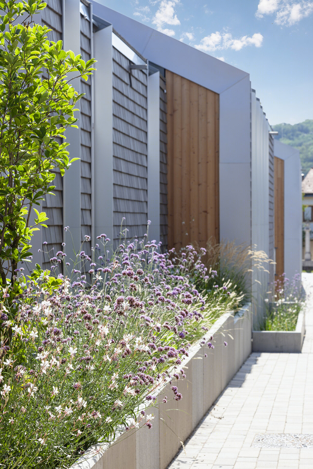 Großweikersdorf 社区中心丨奥地利丨smartvoll architects-39