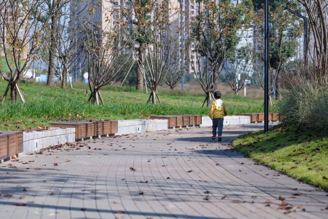 重庆两江悦来生态城中心广场-15