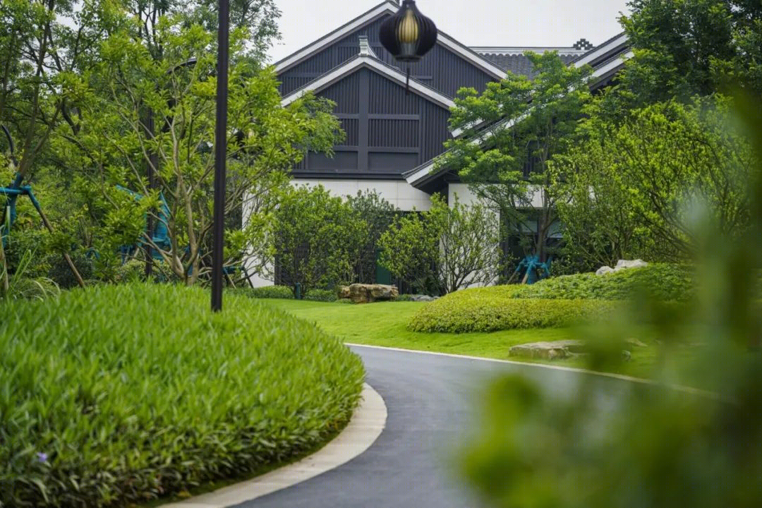 地域特色度假酒店设计丨中国西双版纳丨竹景景观-54