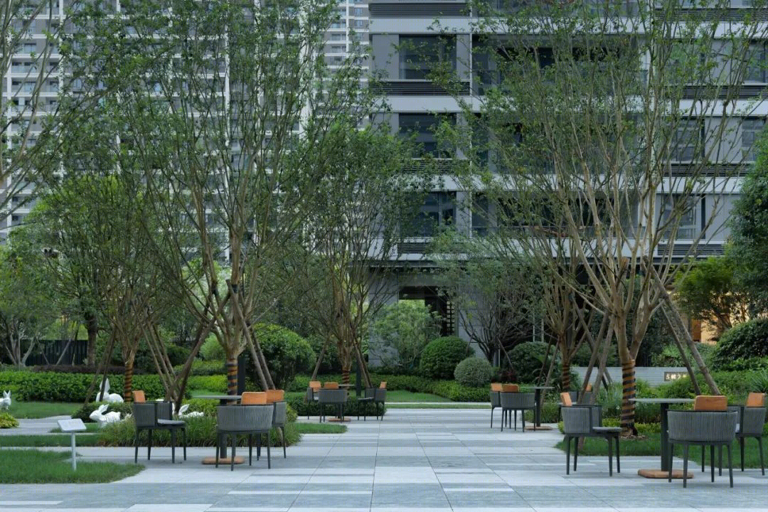 金茂温州鹿城·金茂府丨中国温州丨广亩景观-46