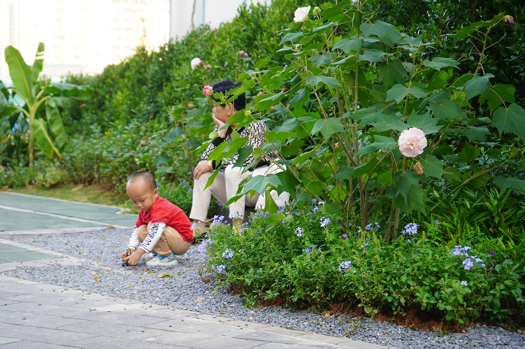 深圳笋岗火车花园丨中国深圳丨深圳市城市规划设计研究院有限公司-86