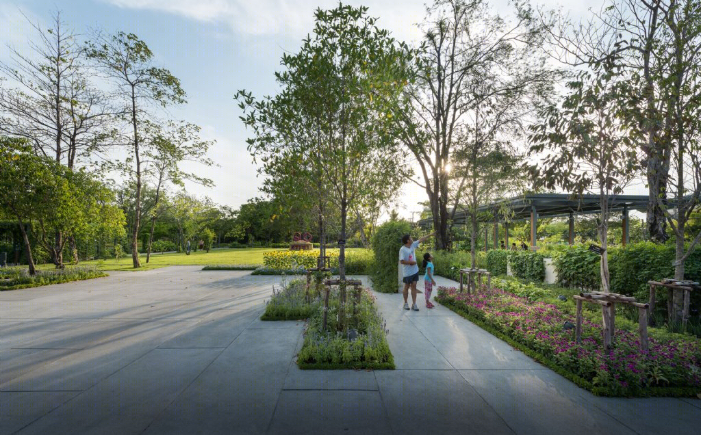 泰国药用植物园景观丨Landscape Architects of Bangkok（LAB）-10