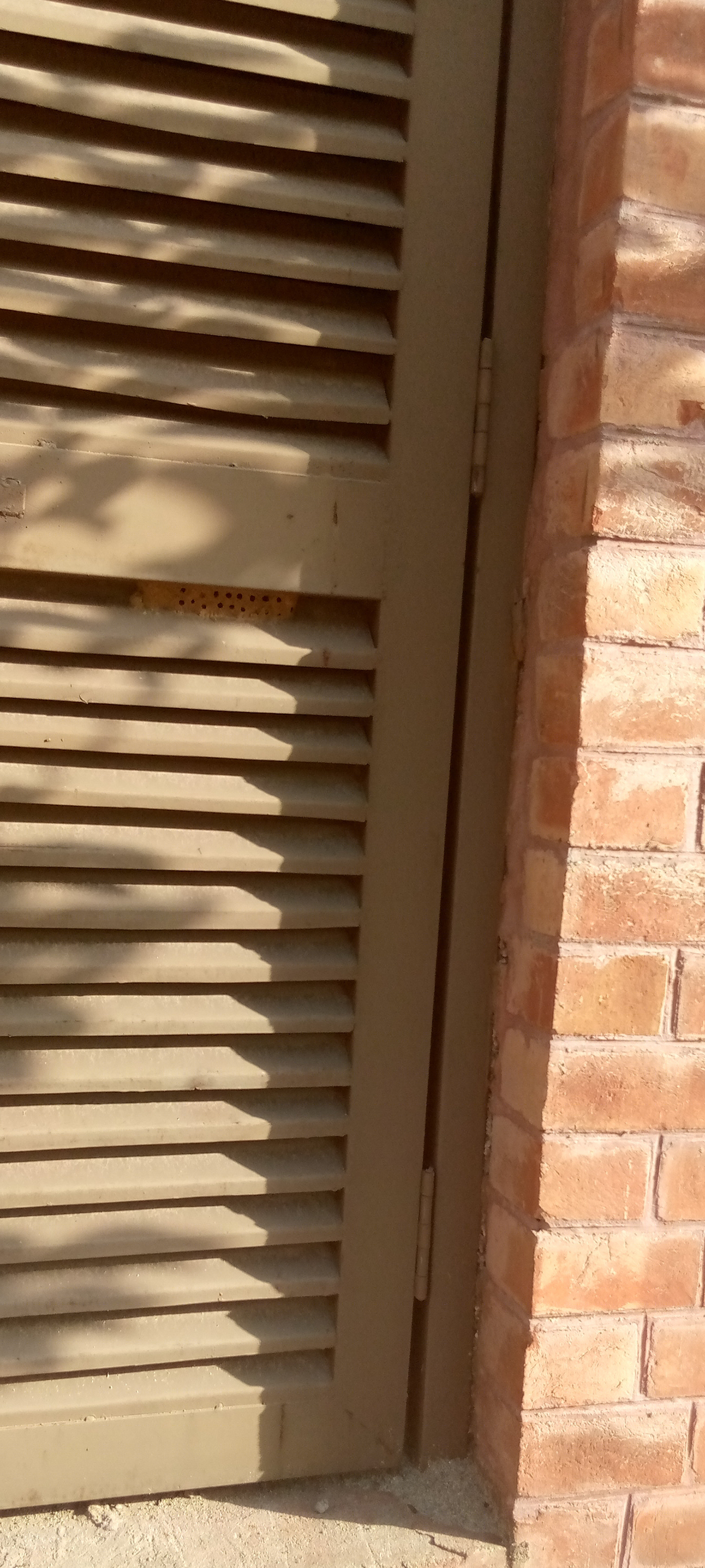 SHADOW OF ARCHITECTURAL ELEMENT-8