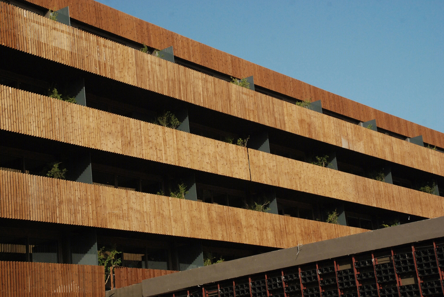 土耳其凯梅尔日光皇家酒店丨Baraka Architects-26