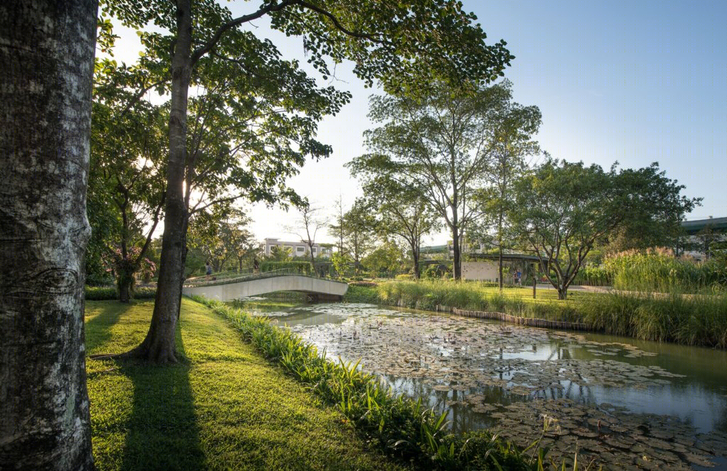 泰国药用植物园景观丨Landscape Architects of Bangkok(LAB)-12