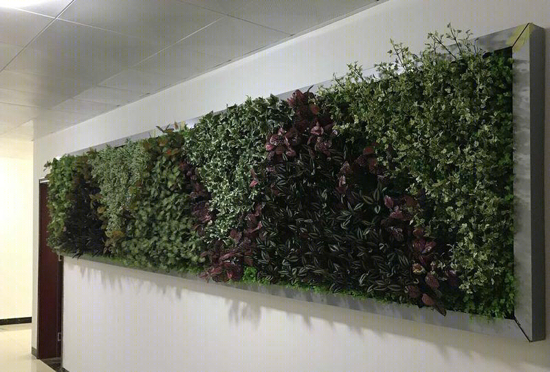 拥有生态及仿真植物的墙体花园-11