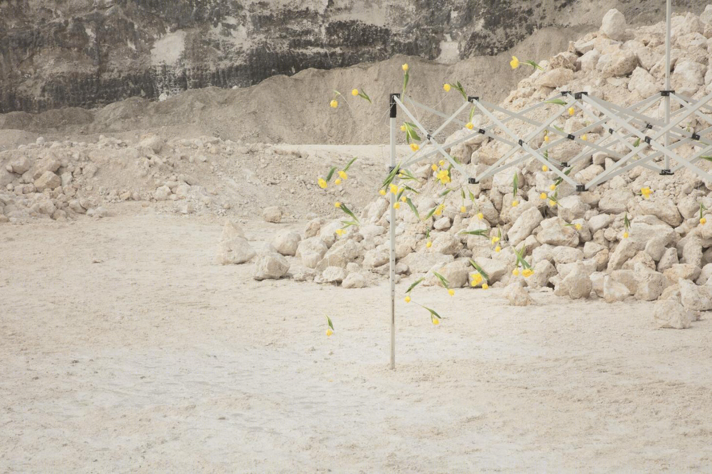 颠覆传统的丹麦花卉设计工作室 Tableau-7