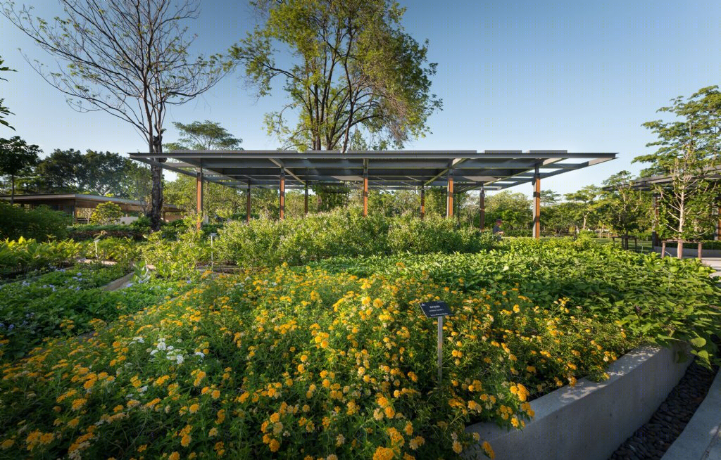 泰国药用植物园景观丨Landscape Architects of Bangkok(LAB)-13