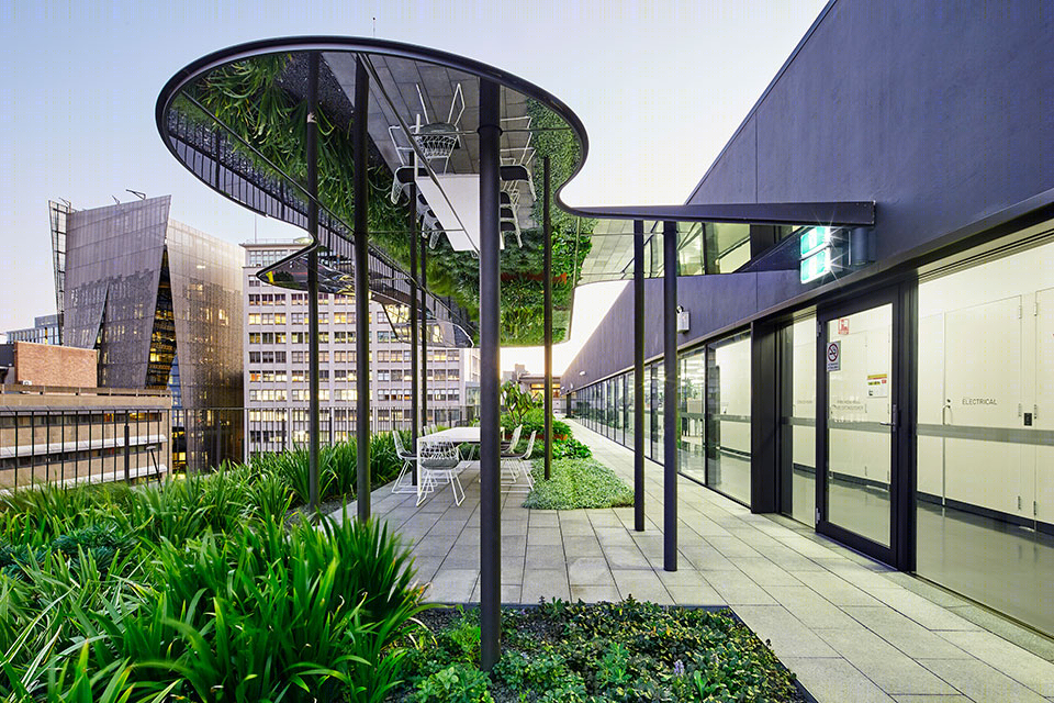 悉尼科技大学校园绿地-41